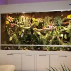 Unternehmen 9 Bild HOPPE-TERRARIENBAU-EXCLUSIV Zoohandlungen am Hilden NW