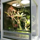 Unternehmen 4 Bild HOPPE-TERRARIENBAU-EXCLUSIV Zoohandlungen am Hilden NW