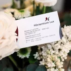 Unternehmen 6 Bild HÖRGERÄTE KÖLN I HÖRZENTRUM LUX GMBH Hörgeräteakustiker am Köln NW