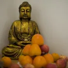 Unternehmen 1 Bild HQC MASSAGE CHINESISCHES GESUNDHEITSZENTRUM Massageinstitute am Köln NW