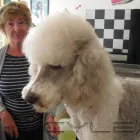 Unternehmen 4 Bild HUNDESALON FELL FEIN MIT MOBILER TIERBETREUUNG Zoohandlung am Mannheim BW