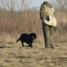 Unternehmen 2 Bild HUNDESCHULE FREI SCHNAUZE Zoohandlung am Karlsruhe BW