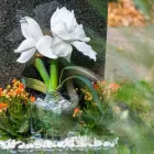Unternehmen 2 Bild JOERIßEN GRABMALE GMBH Service & Dienstleistung am Wegberg NW