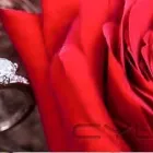 Unternehmen 18 Bild JUWELIER MERSIN Schmuck-Dienstleistungen, Uhren-Dienstleistungen, Edelmetallwaren-Dienstleistungen am Mannheim BW