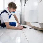 Unternehmen 1 Bild KAMMERJÄGER ENGEL Service & Dienstleistung am Köln NW