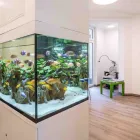 Unternehmen 18 Bild KIEFERORTHOPÄDIE KÖLN I DR. MARTINA RASCHE | KÖLN Ärzte am Köln NW