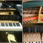 Unternehmen 1 Bild KLAVIERE FLÜGEL Musikinstrumente Einzelhandel am Hamburg HH