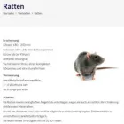 Unternehmen 8 Bild KLEEFELD HAMBURG UG Service & Dienstleistung am Hamburg HH