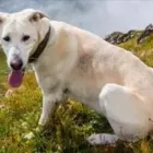 Unternehmen 3 Bild KÖBER GMBH Zoohandlungen am Bochum NW