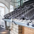 Unternehmen 2 Bild KOHLHAAS & HONECKER | SCHÄDLINGSBEKÄMPFUNG KÖLN Service & Dienstleistung am Cologne NW