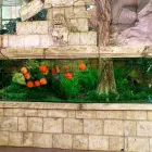 Unternehmen 7 Bild KÖLLE ZOO STUTTGART Zoohandlungen am Stuttgart BW