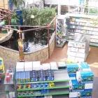 Unternehmen 13 Bild KÖLLE ZOO STUTTGART Zoohandlungen am Stuttgart BW