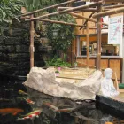 Unternehmen 16 Bild KÖLLE ZOO STUTTGART Zoohandlungen am Stuttgart BW