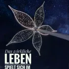 Unternehmen 125 Bild LARISSA WASSERTHAL - FÜHRUNGSKRÄFTE COACHING UND UNTERNEHMER COACHING - HAPPINESS ALCHEMIE Soziales & Gesellschaft am Wiesbaden HE
