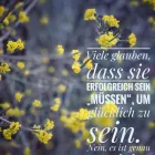Unternehmen 169 Bild LARISSA WASSERTHAL - FÜHRUNGSKRÄFTE COACHING UND UNTERNEHMER COACHING - HAPPINESS ALCHEMIE Soziales & Gesellschaft am Wiesbaden HE