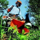 Unternehmen 3 Bild MEHMET EMIN SARIALTIN EINZELUNTERNEHMEN Service & Dienstleistung am Velbert NW