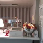 Unternehmen 4 Bild MISS GROOMER HUNDE-KATZEN FELLPFLEGE & BOUTIQUE /HUNDESALON/HUNDEFRISEUR/KATZENFRISEUR Zoohandlungen am Mannheim BW