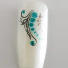 Unternehmen 24 Bild NAGELSTUDIO DS-NAILCARE Maniküresalons am Ludwigsburg BW