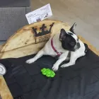 Unternehmen 3 Bild NIMMERLAND SCHLAFSYSTEME Produktion und Vertrieb von Möbel, Innenausstattung am Krefeld NW