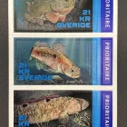 Unternehmen 31 Bild NOWAK & BETH GMBH | MÜNZHÄNDLER - BERLIN - BRIEFMARKEN Service & Dienstleistung am Berlin BE