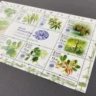 Unternehmen 11 Bild NOWAK & BETH GMBH | MÜNZHÄNDLER - BERLIN - BRIEFMARKEN Service & Dienstleistung am Berlin BE