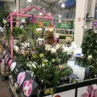 Unternehmen 2 Bild OBI MARKT BIELEFELD NORD (HEEPEN) Zoohandlungen am Bielefeld NW