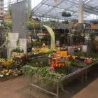 Unternehmen 1 Bild OBI MARKT BIELEFELD NORD (HEEPEN) Zoohandlungen am Bielefeld NW