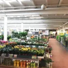 Unternehmen 2 Bild OBI MARKT LUDWIGSBURG Werkzeugvermietung am Ludwigsburg BW