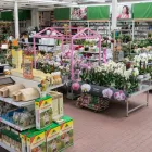 Unternehmen 12 Bild OBI MARKT SOLINGEN Zoohandlungen am Solingen NW