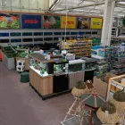 Unternehmen 22 Bild OBI MARKT SOLINGEN Zoohandlungen am Solingen NW