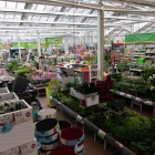 Unternehmen 28 Bild OBI MARKT SOLINGEN Zoohandlungen am Solingen NW