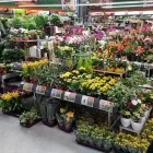 Unternehmen 4 Bild OBI MARKT STUTTGART-WESTBAHNHOF Werkzeugvermietung am Stuttgart BW