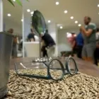 Unternehmen 6 Bild OPTIQUE MEISTERHANDWERK Optiker am Stuttgart BW