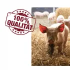 Unternehmen 3 Bild OTTO VELTEN METZGEREI & PARTYSERVICE Veranstalter am Essen NW