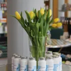 Unternehmen 1 Bild PASADENA-APOTHEKE INH. DR. ANKE SCHMIDT E.K. Kosmetiksalons am Ludwigshafen Am Rhein RP