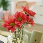 Unternehmen 5 Bild PATIMELA FAMILY CONCEPT Massageinstitute am Hamburg HH