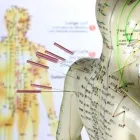 Unternehmen 5 Bild PHYSIOTHERAPIE & HEILPRAXIS HAUK Ärzte am Mannheim BW