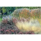 Unternehmen 1 Bild PLANTAVERDE GARTEN- UND LANDSCHAFTSBAU GMBH Gartenbauunternehmen, Landschaftsbauunternehmen am Bochum NW