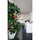 Unternehmen 1 Bild PRAXIS FÜR OSTEOPATHIE UND SCHMERZTHERAPIE WEGBERG Ärzte am Wegberg NW