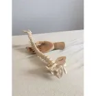 Unternehmen 6 Bild PRIVATPRAXIS FÜR OSTEOPATHIE & PHYSIOTHERAPIE KELLNER & SCHULZE GBR Ärzte am Haan NW