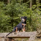 Unternehmen 8 Bild REICO-VITAL VERTRIEBSPARTNER NINA SACHS Zoohandlungen am Werdohl NW