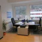 Unternehmen 3 Bild REVIVE GLOBE LIMITED BUCHHALTUNGS-LOHNBÜRO Rechtsberater, Vermögensberater, Wirtschaftsberater, Wirtschaftsverwalter am Stuttgart BW
