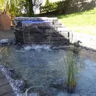 Unternehmen 1 Bild ROMANOWSKI GARTEN- UND LANDSCHAFTSBAU Produktion und Vertrieb von Pflanzen am Remscheid NW