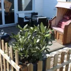 Unternehmen 4 Bild ROOFTOP APARTMENT Verleihunternehmen, Vermietungsunternehmen, Vermittlungsunternehmen am Norderstedt SH