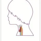 Unternehmen 4 Bild ROSENBAUM NAGY MANAGEMENT & MARKETING GMBH Vereine am Köln NW