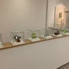 Unternehmen 1 Bild ROTTLER PLEINES BRILLEN + KONTAKTLINSEN IN ERKELENZ Optiker am Erkelenz NW