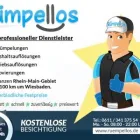 Unternehmen 2 Bild RÜMPELLOS | ENTRÜMPELUNG & HAUSHALTSAUFLÖSUNG Service & Dienstleistung am Wiesbaden HE
