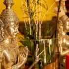 Unternehmen 12 Bild SAITONG THAI-MASSAGE - KÖLN-LINDENTHAL Massageinstitute am Köln NW