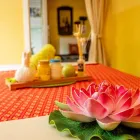 Unternehmen 13 Bild SAITONG THAI-MASSAGE - KÖLN-LINDENTHAL Massageinstitute am Köln NW