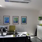 Unternehmen 1 Bild SANDRA KOLL VERSICHERUNGSMAKLERIN Versicherung am Wegberg NW